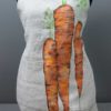 Apron carrots detail