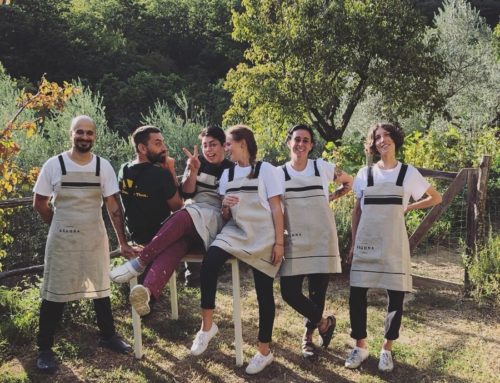 Sàgona Osteria